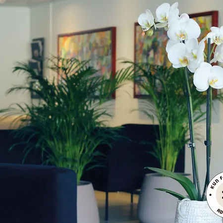 Hotell Aero - Skipperbyen Marstal